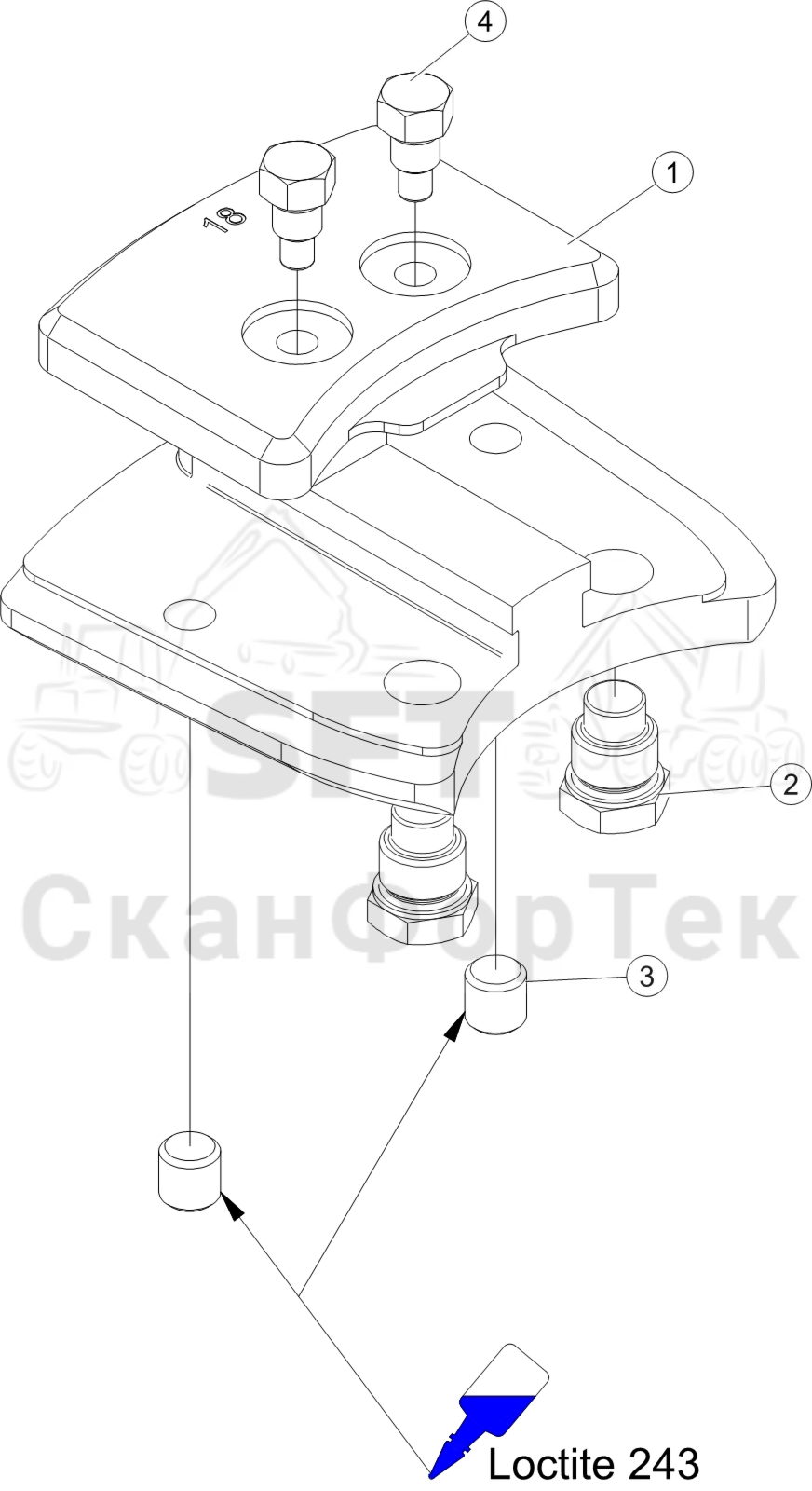 Схема: Зажим стержня пилы 30cc 3082021131-